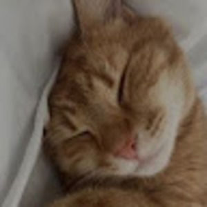 Meet your Posher, Ava